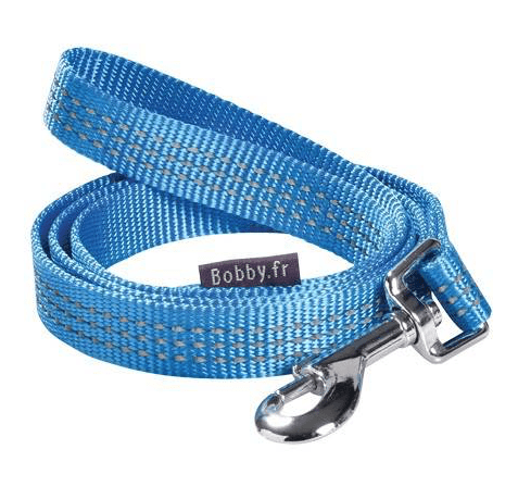 LAISSE REFLECHISSANTE