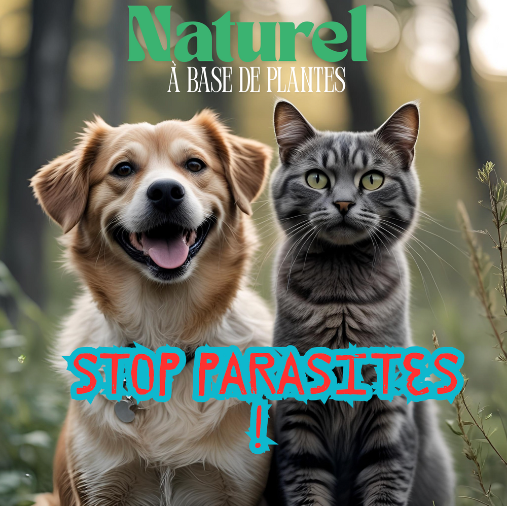 Stop vers naturel chat et chien