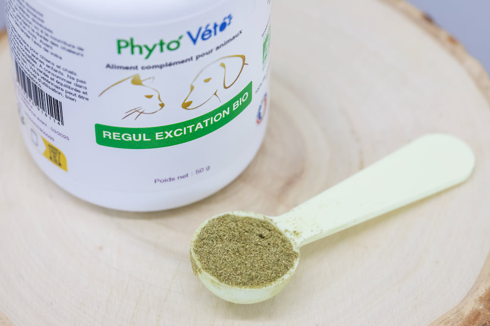 REGUL EXCITATION BIO