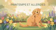 Comment Soulager les Allergies de Printemps chez son Animal avec la Phytothérapie