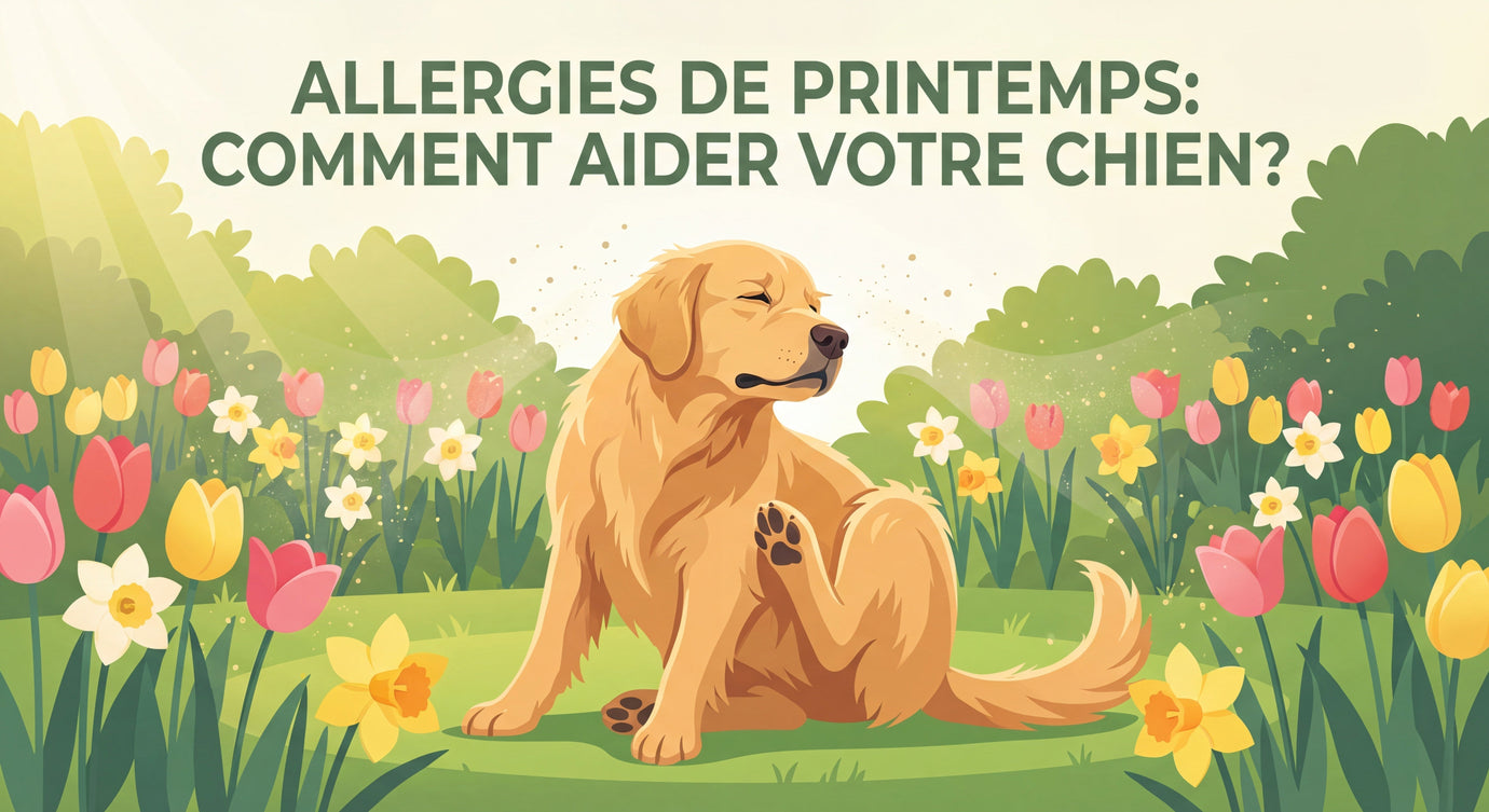 Allergie Chien & Chat au Printemps : Soulager Naturellement avec la Phytothérapie
