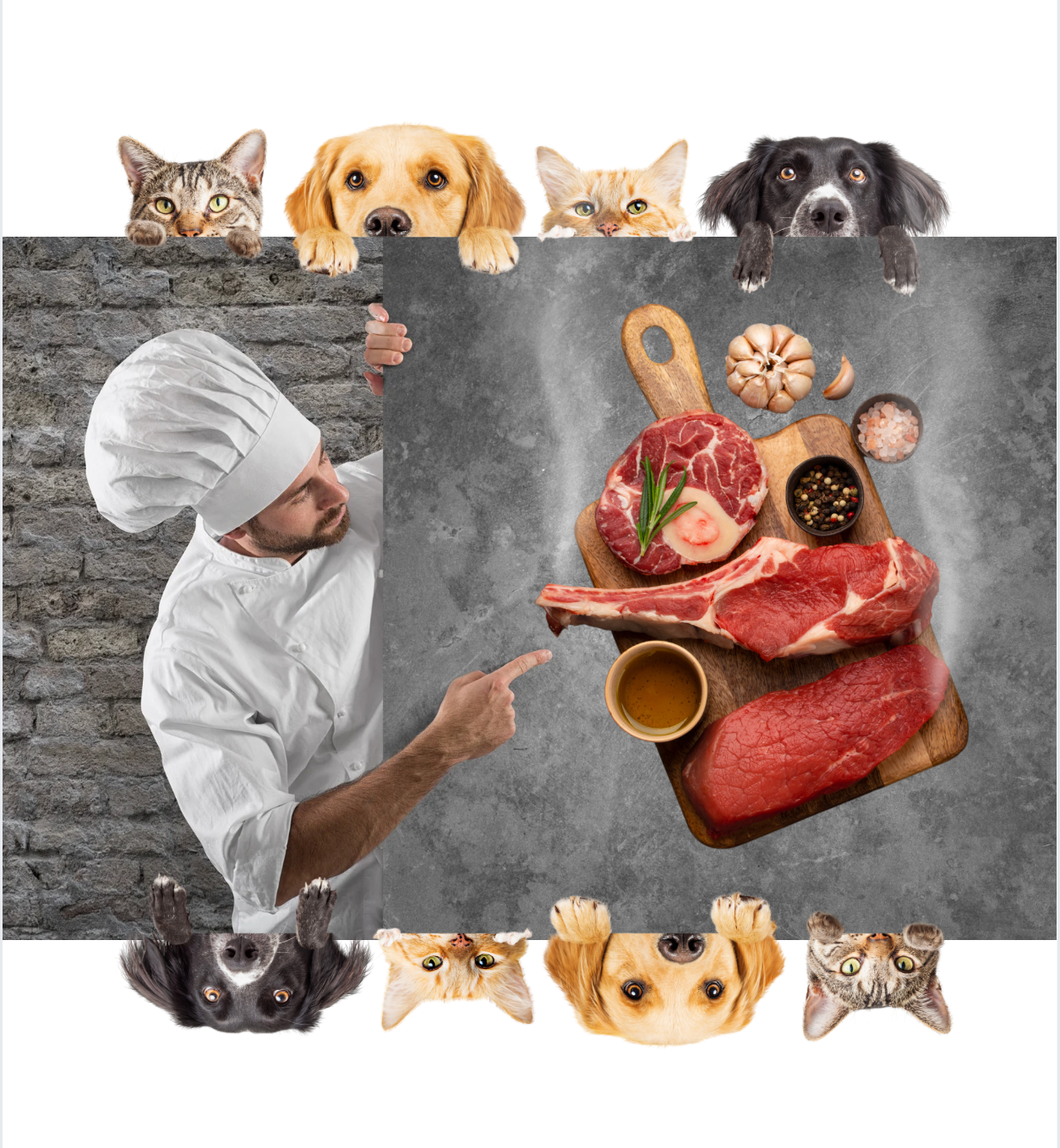 Alimentation
