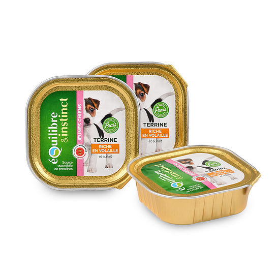 Terrines Riche en Volaille Jeune Chien Lot de 11 x 150g