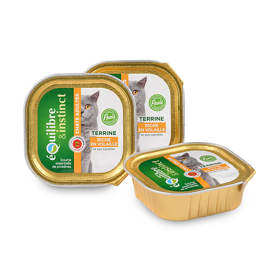 Terrine Riche en Volaille chat Adulte Lot de 16x100g