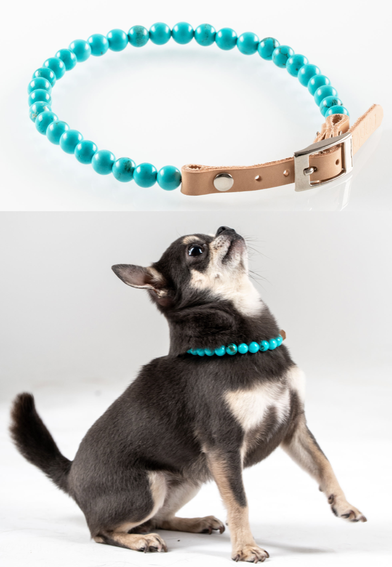 COLLIER TURQUOISE CHIEN ABOIE BEAUCOUP, APAISEMENT LITHOTHERAPIE