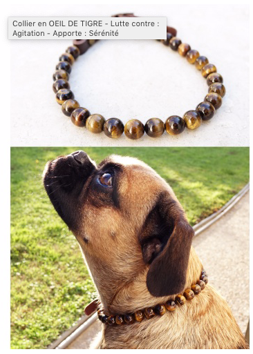 COLLIER CHIEN OEIL DE TIGRE : ARTHROSE, GRATTAGE PATTE : LITHOTHERAPIE