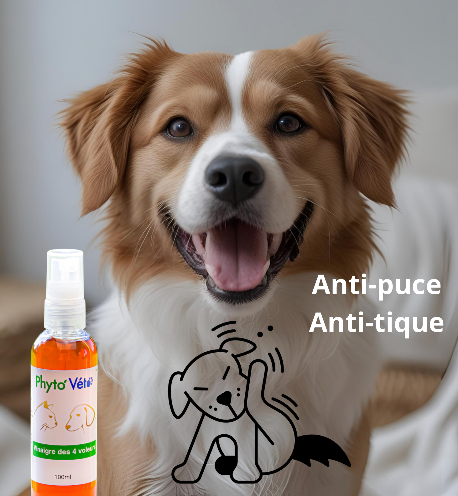 Phyto veto vinaigre des 4 voleurs