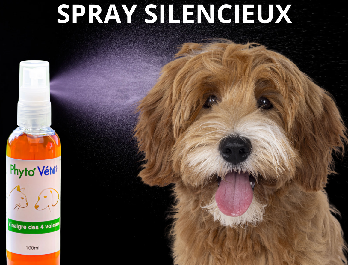 Vinaigre des 4 voleurs - 100ml